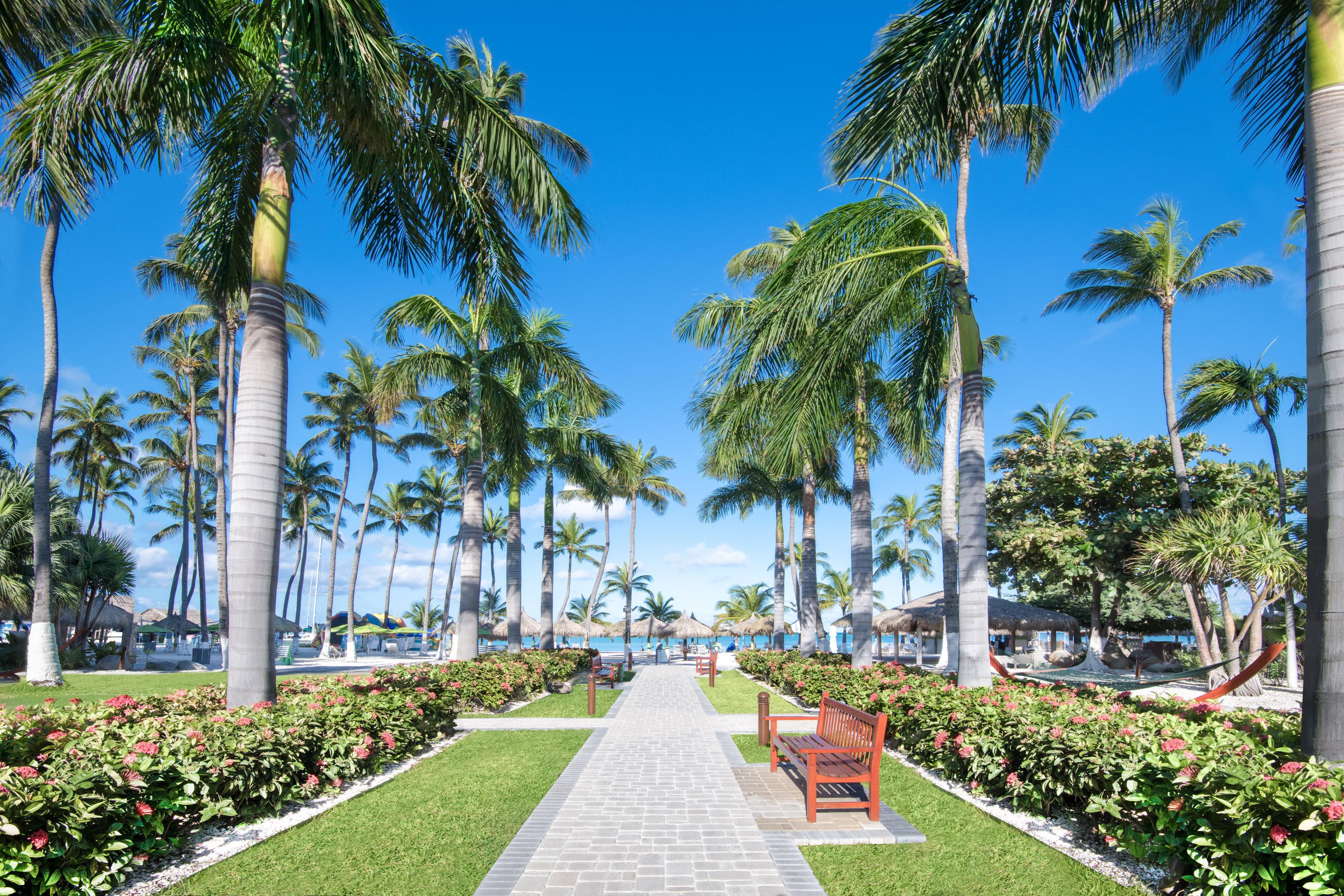 阿鲁巴假日酒店 - 海滩度假村及赌场 棕榈滩 外观 照片